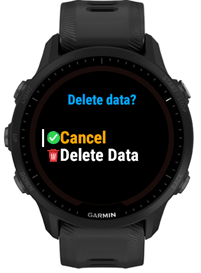 First Delete Data confirmation screen