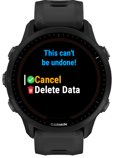 Second Delete Data confirmation screen, warning it can't be undone