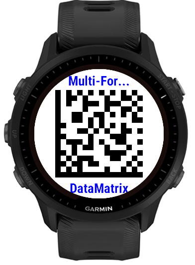 Data Matrix example on-watch