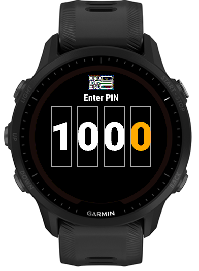 Enter PIN screen confirming the fourth and final digit