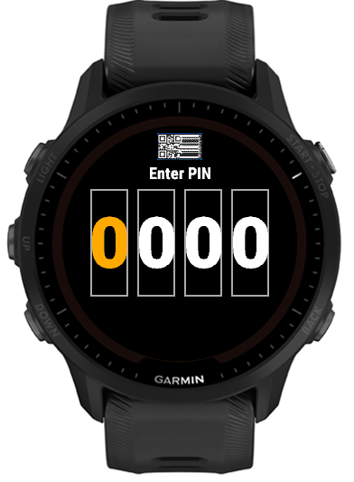 Enter PIN screen as first shown, all digits at 0
